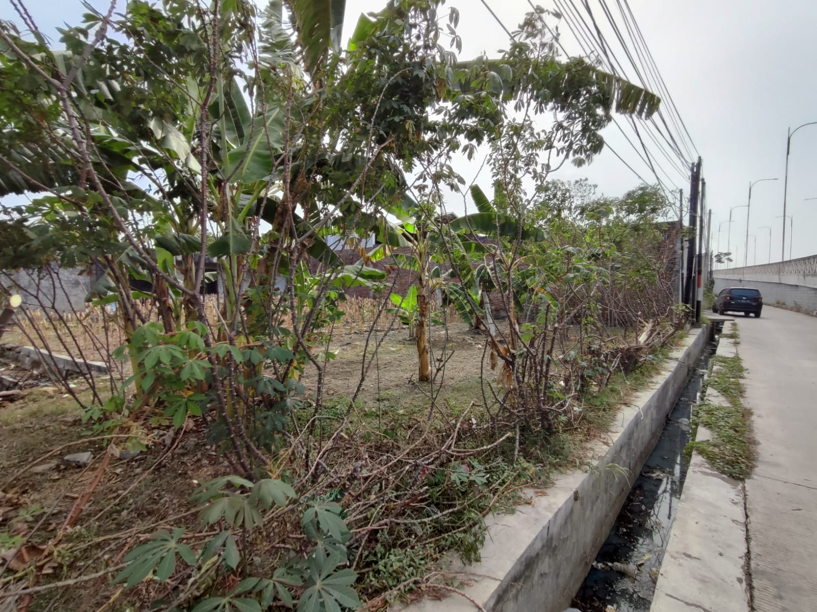 DIJUAL CEPAT
Tanah Kavling Siap Bangun, Lokasi Strategis, Pinggir Jalan Raya, Bebas Banjir